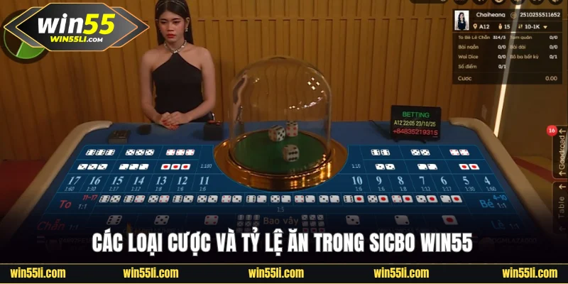 Tìm hiểu tỷ lệ ăn và các loại cược